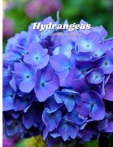 Hydrangeas Full-Color Picture Book