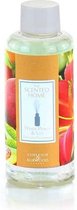 Ashleigh & Burwood - navulling geurstokjes - White Peach & Lily - Refill Reed Diffuser