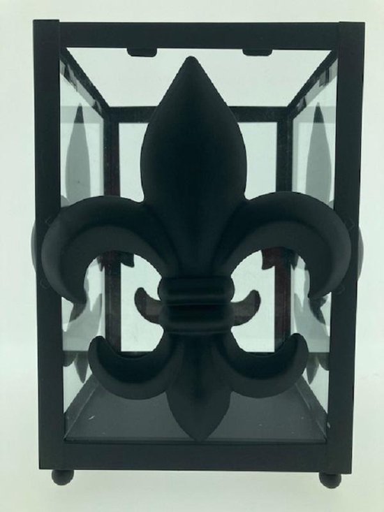 Windlicht - Lantaarn - Merk PTMD - Zwart metaal met glas - Large model - 25cm hoog - 17x17cm