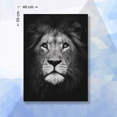 Diamond Painting Pakket Leeuw Zwart Wit - vierkante steentjes - 40 x 55 cm