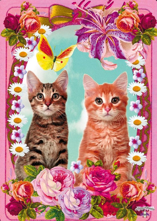 Poster Cats Poezenposter