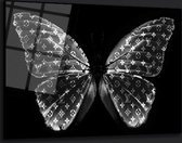 Black butterfly lv 100x65 plexiglas 5mm
