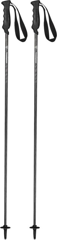 Bâton de ski Komperdell Carbon Pure Noir 110