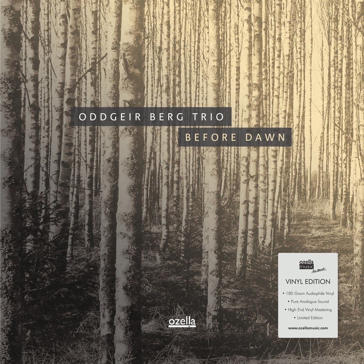Oddgeir Berg Trio - Before Dawn (LP) (Limited Edition)