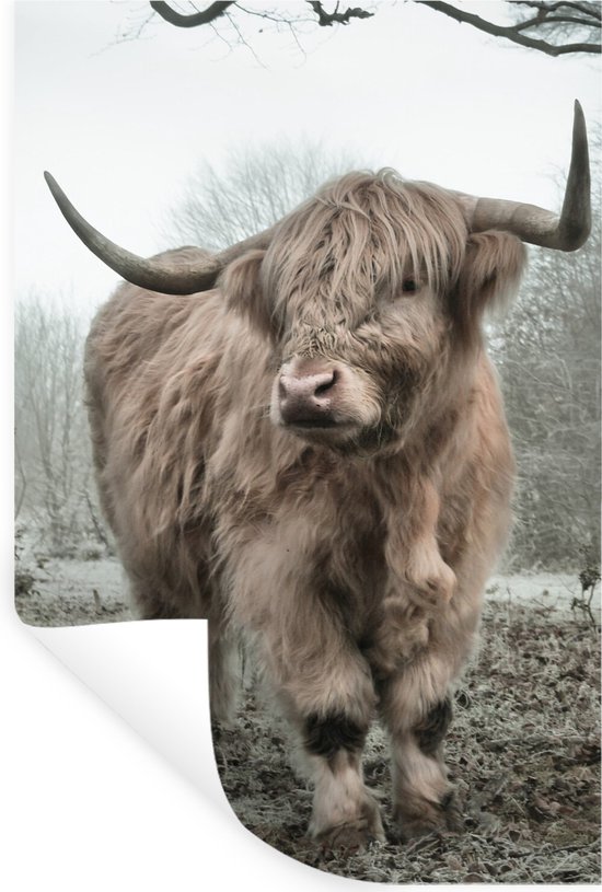 Stickers muraux - Film autocollant - Highlander écossais - Forêt - Brouillard - Vache - Animaux - Nature - 40x60 cm - Film adhésif - Stickers muraux Chambre d'enfant - Papier peint autocollant