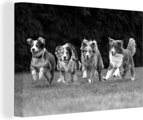 Canvas Schilderij 4 rennende honden op een rij - zwart wit - Wanddecoratie