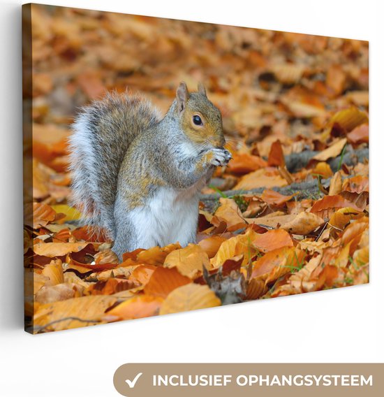 Foto: Canvas schilderij eekhoorn tussen de herfstbladeren 120x80 cm wanddecoratie