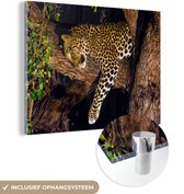 MuchoWow® Glasschilderij 160x120 cm - Schilderij acrylglas - Panter - Boom - Dieren - Foto op glas - Schilderijen