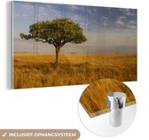 Peinture sur verre MuchoWow® 160x80 cm - Peinture sur verre acrylique - La savane du parc national du Serengeti en Tanzanie - Photo sur verre - Peintures