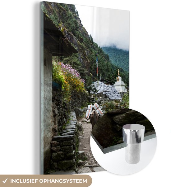 Glasschilderij - Everest basiskamp Nepal fotoprint - Plexiglas Schilderijen