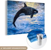 MuchoWow® Glasschilderij 60x40 cm - Schilderij acrylglas - Springende kleine orka - Foto op glas - Schilderijen