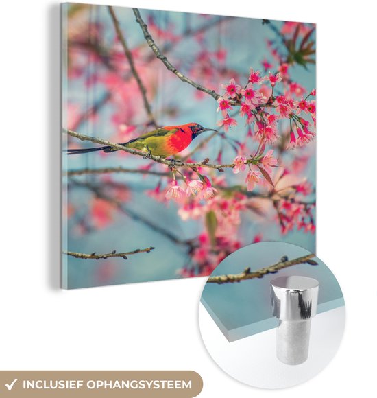 MuchoWow® Glasschilderij 20x20 cm - Schilderij acrylglas - Vogel - Sakura - Kleuren - Foto op glas - Schilderijen