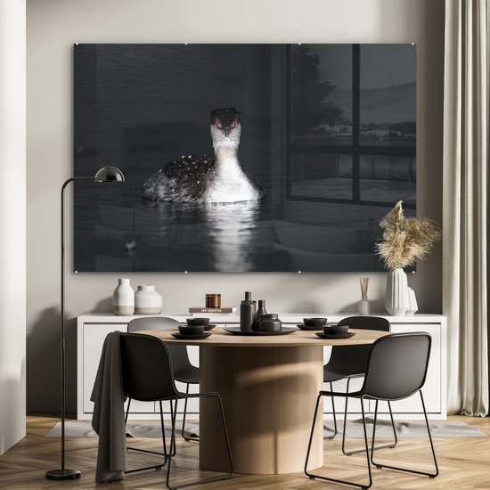 ® Glasschilderij 180x120 cm - Schilderij acrylglas - Een zwart-wit afbeelding van een Kuifduiker - Foto op glas - Muurdecoratie woonkamer - Wanddecoratie slaapkamer - Schilderijen
