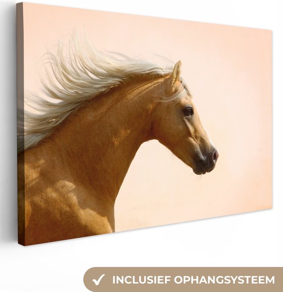 Canvas Schilderij Paard - Licht - Lucht - 60x40 cm - Wanddecoratie