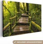 Canvas Schilderij Mooi regenwoud en jungle - 60x40 cm - Wanddecoratie