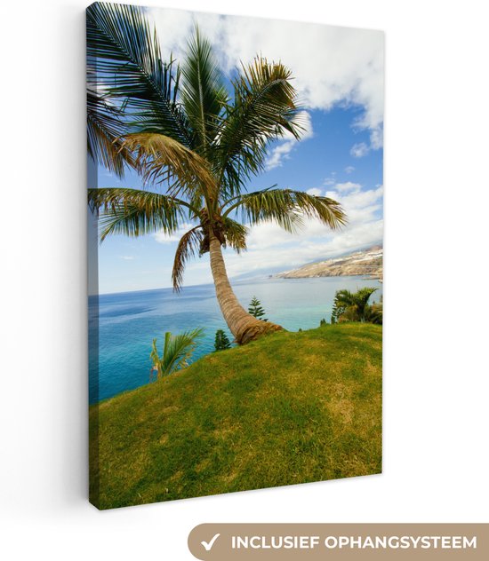 Un palmier sur la côte de Tenerife 20x30 cm - petit - Tirage photo sur toile (Décoration murale salon / chambre)