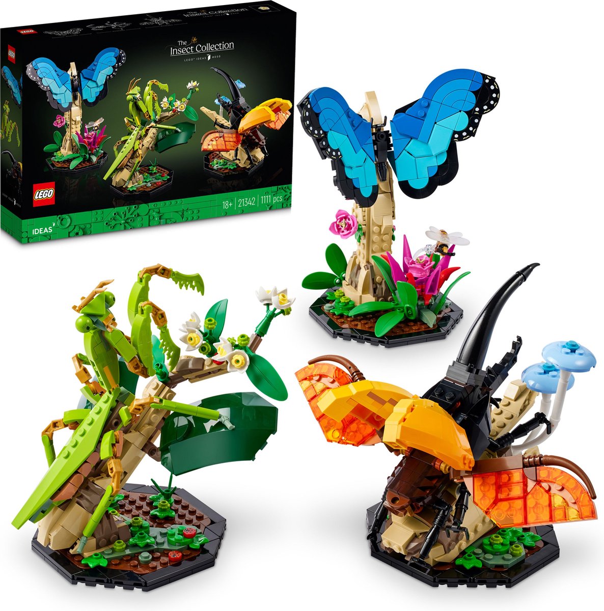 LEGO Ideas De Insectencollectie - 21342 — afbeelding 16