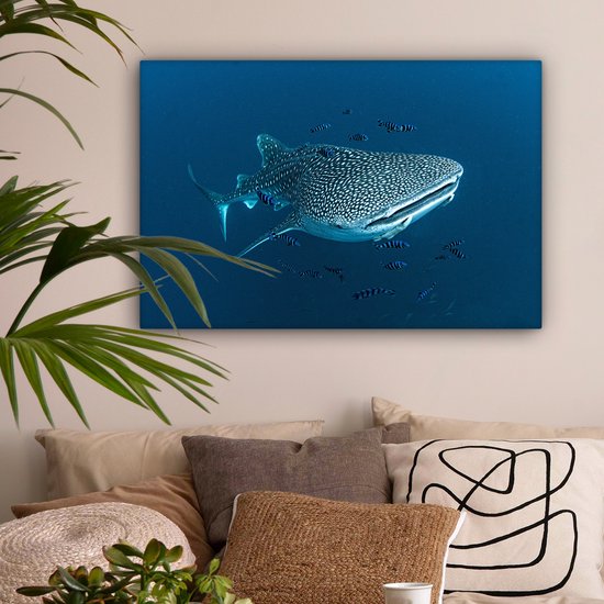 Tableau sur toile Un requin baleine à pois - 150x100 cm - Décoration murale