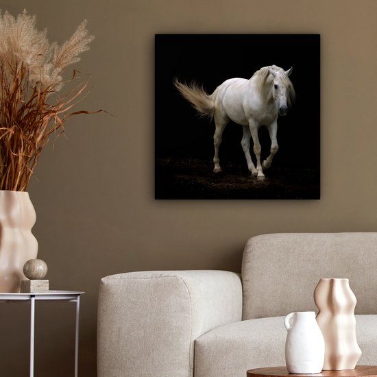 Cheval Wit devant une toile fond noir 2cm 50x50 cm - impression photo sur toile peinture Décoration murale salon / chambre à coucher) / Animaux sauvages Peintures Toile