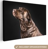 Canvas Schilderij Hond - Bruin - Portret - 30x20 cm - Wanddecoratie