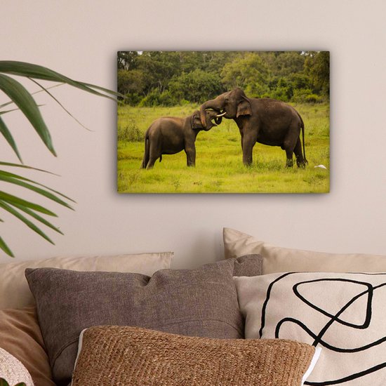 Deux éléphants de combat sur toile 2cm 30x20 cm - petit - Tirage photo sur toile (Décoration murale salon / chambre) / Animaux sauvages Peintures sur toile