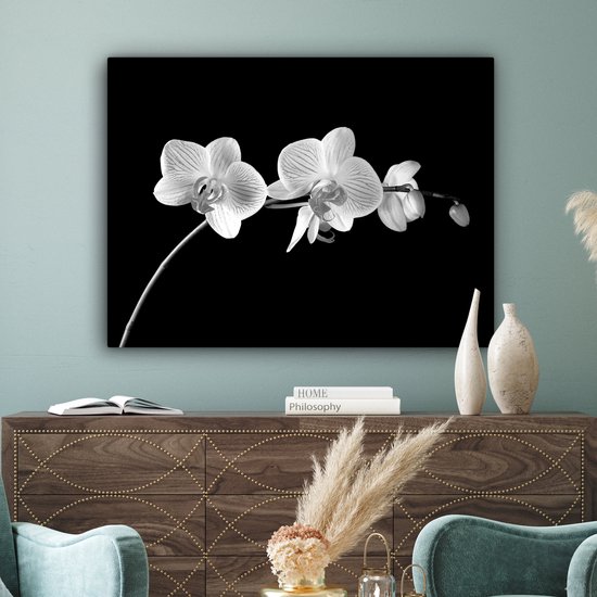 Canvas schilderij 120x90 cm - Wanddecoratie Orchidee - Bloemen - Zwart - Roze - Knoppen - Muurdecoratie woonkamer - Slaapkamer decoratie - Kamer accessoires - Schilderijen op canvas