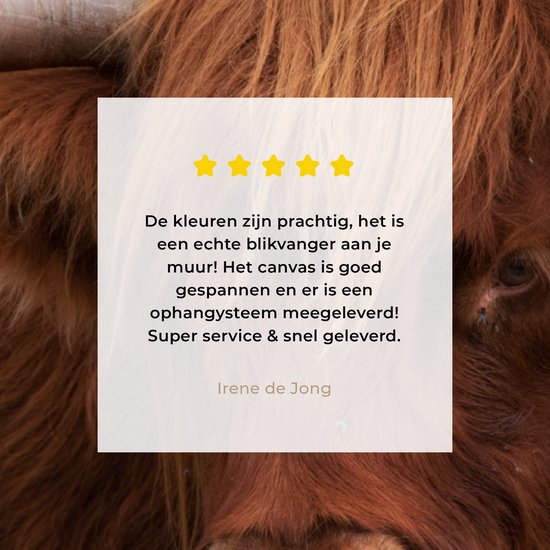 Tableau sur toile Scottish Highlander - Oranje - Animaux - 140x90 cm - Décoration murale