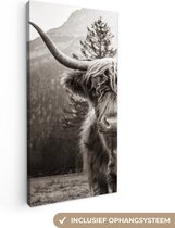 Schotse hooglander - Stier - Zwart - Wit - Canvas - 40x80 cm - Wanddecoratie