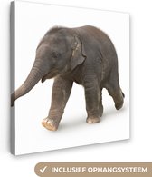 Canvas Schilderij Kleine olifant tegen witte achtergrond - 50x50 cm - Wanddecoratie