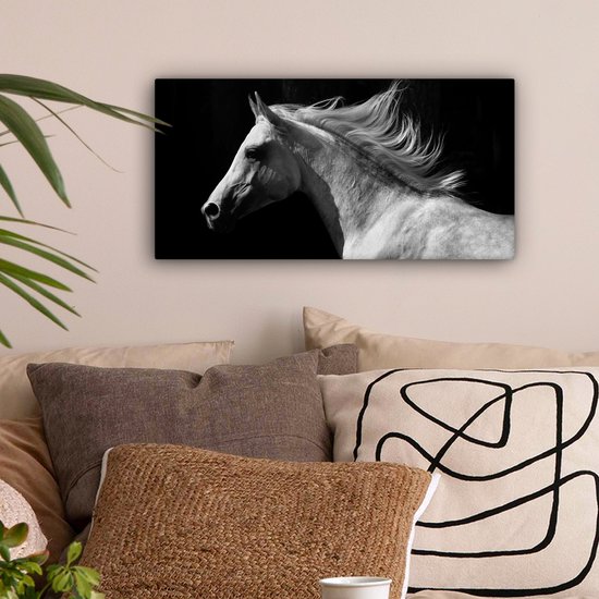 Tableau sur Toile Paarden - Animal de la Ferme - Crinière - 40x20 cm - Décoration murale