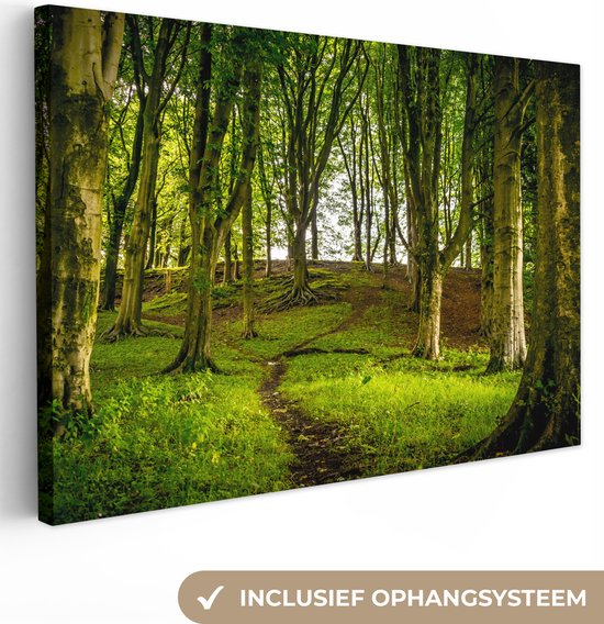 Canvas Schilderij Donkerbruin pad door het bos - 60x40 cm - Wanddecoratie