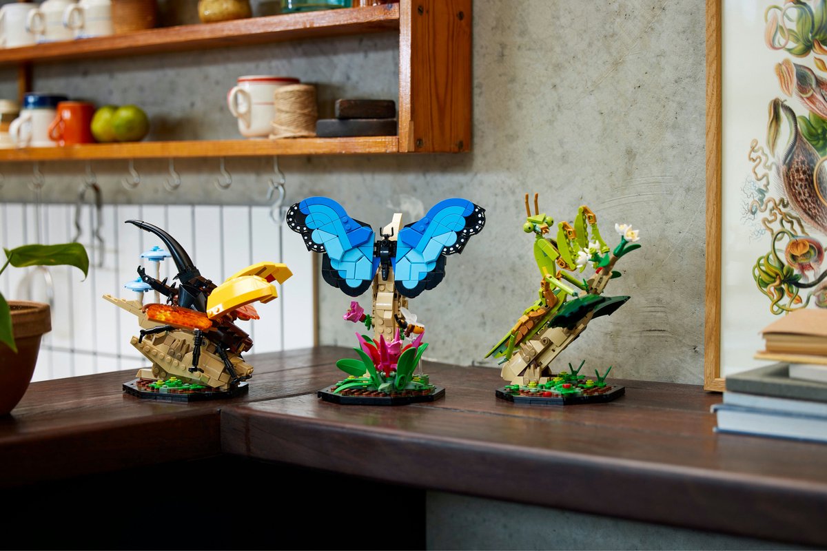 LEGO Ideas De Insectencollectie - 21342 – foto 4