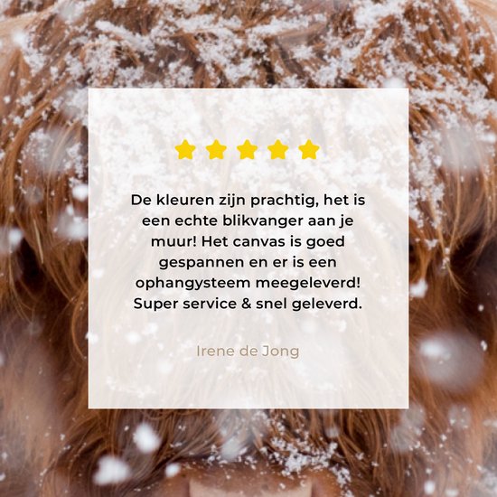 Peinture sur toile Highlander écossais - Cornes - Neige - 160x80 cm - Décoration murale