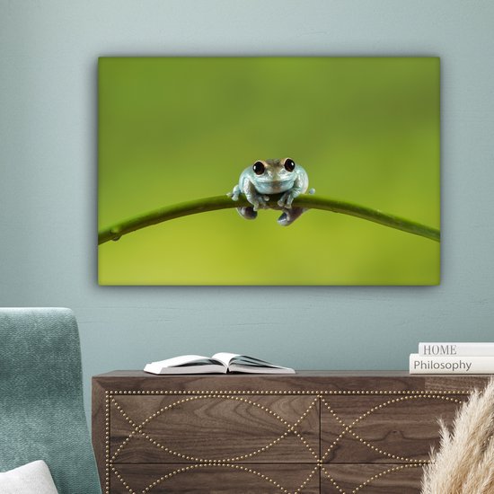 Tableau Grenouille - Branche - Vert - 60x40 cm - Décoration murale