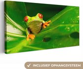 Tableau Grenouille - Feuilles - 80x40 cm - Décoration murale