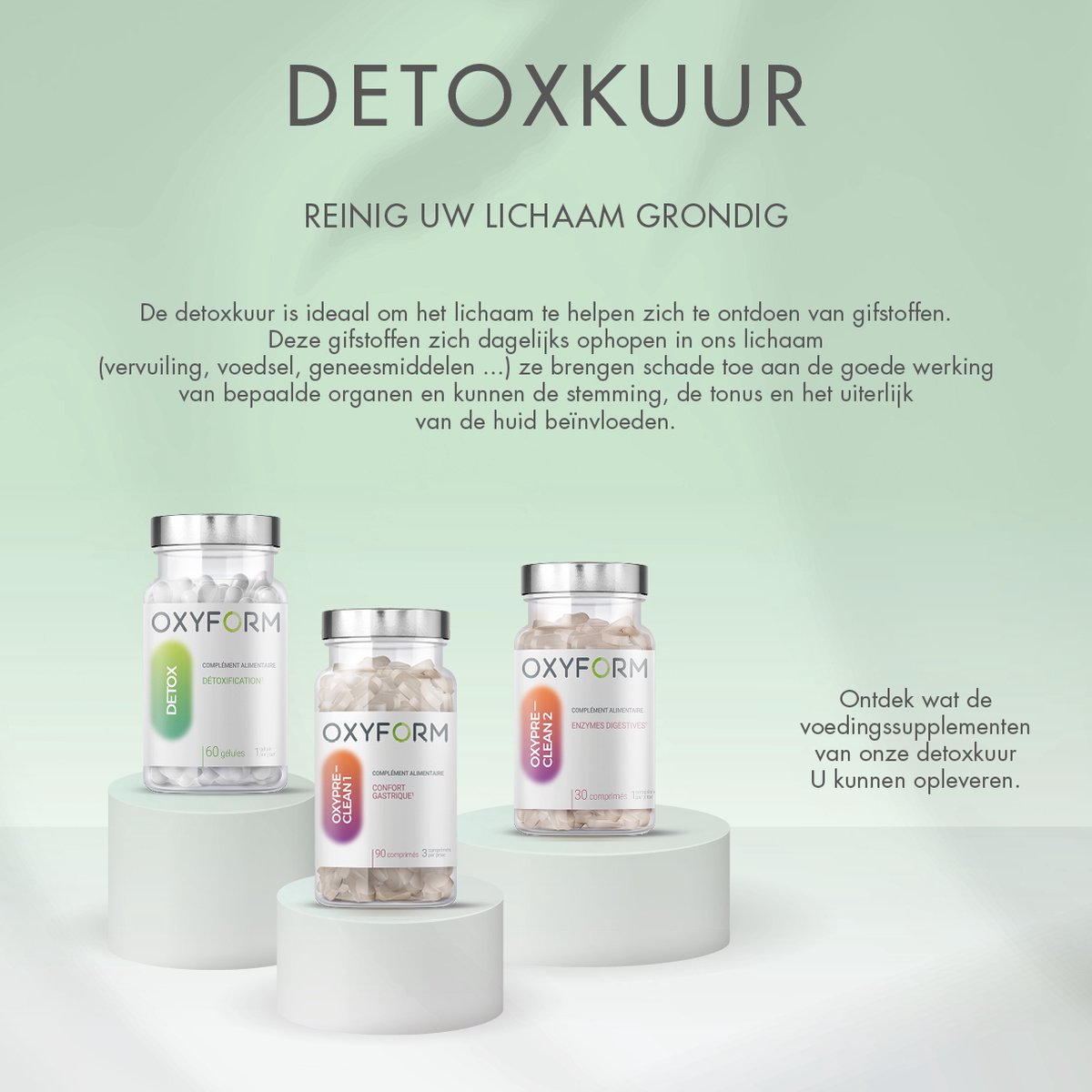 Goedkoopste Detox Kuur 1 maand – 3 Natuurlijke Voedingssupplementen - Op basis van Artisjok, Mariadistel, Paardenbloem, Ceylonkaneel, Papaïne en Enzymen - Verwijdert Gifstoffen, Drainer, helpt Spijsverteringscomfort
