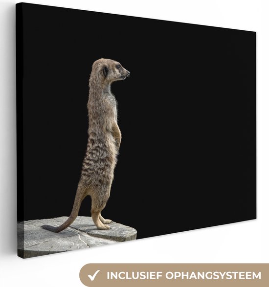 Canvas schilderij 40x30 cm - Wanddecoratie Stokstaartje - Wilde dieren - Zwart - Muurdecoratie woonkamer - Slaapkamer decoratie - Kamer accessoires - Schilderijen op canvas