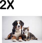 BWK Textiele Placemat - Hond en Kat met Witte Achtergrond - Set van 2 Placemats - 45x30 cm - Polyester Stof - Afneembaar