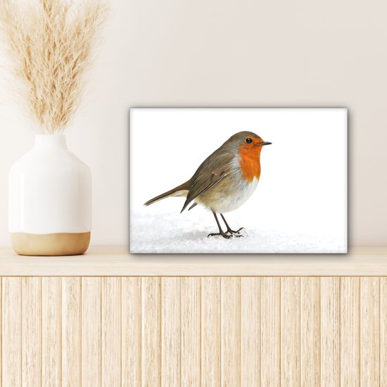 Robin dans la neige Toile 30x20 cm - petit - Tirage photo sur toile (Décoration murale salon / chambre)
