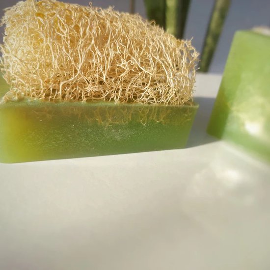 NATUURLIJKE LUFFA ZEEP/ALOE VERA EXTRACT (5 STUKS) | bol