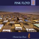 Pink Floyd A Momentary Lapse of Reason Album Cover 30.5x30.5cm