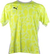 T-Shirt Puma Teamliga Padel Grafisch Overhemd - Sportwear - Volwassen