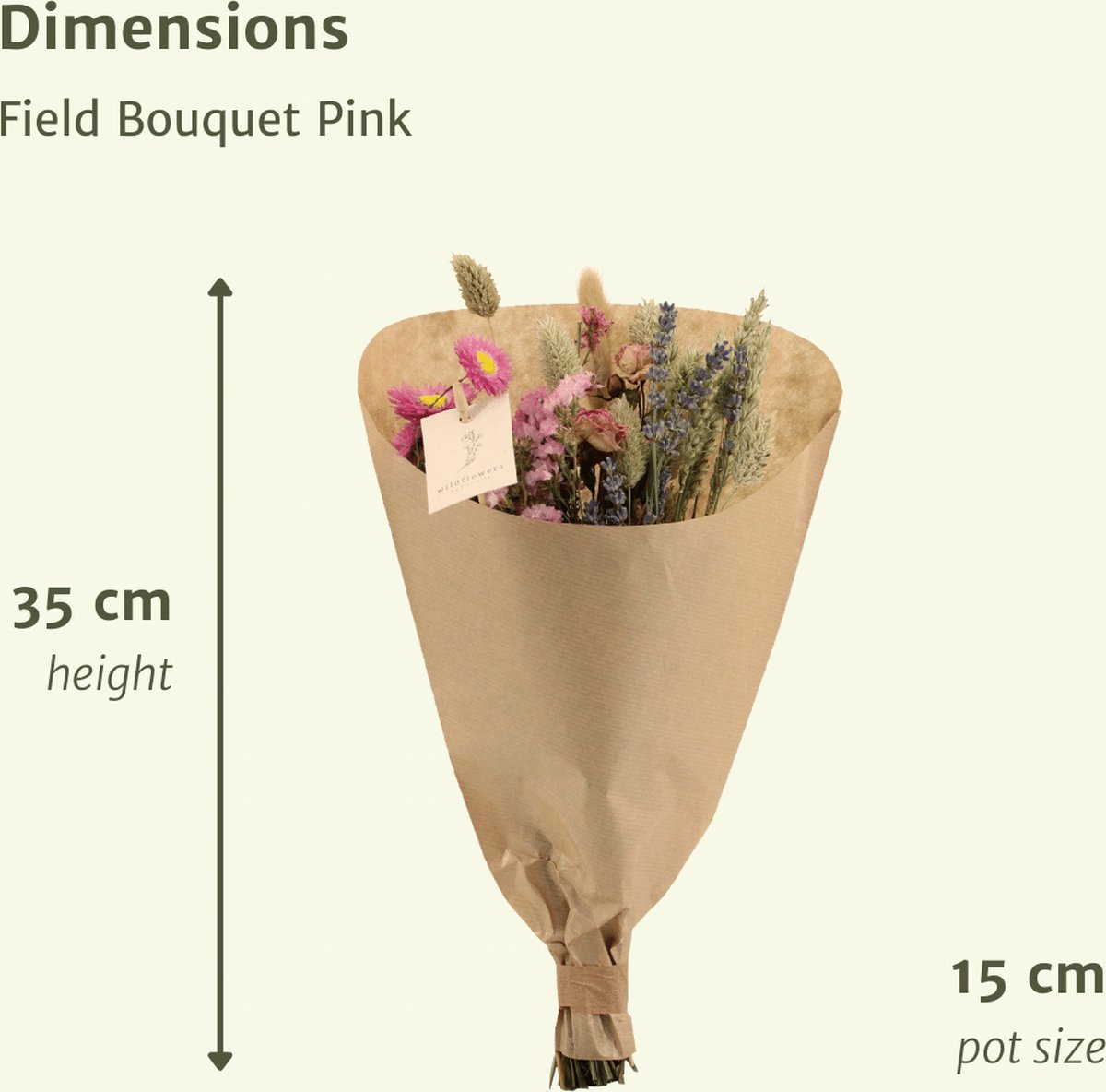 BOTANICLY Droogbloemenboeket ong. 50 cm hoog Stijlvolle decoratie voor jouw Urban Jungle van