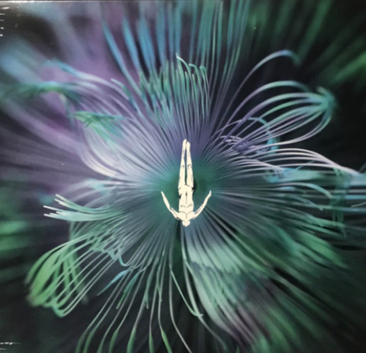 Innellea - Five Phases - Reflected Wisdom