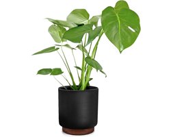 Fox & Fern Bloempot met stop, Bloempot groot voor binnen/buiten, Sierpot UV- & vorstbestendig, Polystone-bloempotten zwart, Bloempot 25cm diameter, Grote plantenpot voor kamerplanten