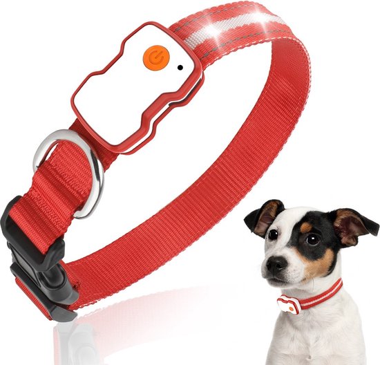 Essential LED Halsband Hond