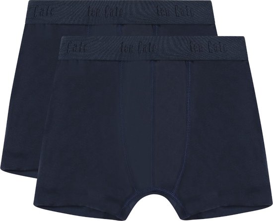 Lot de 2 shorts bio Ten Cate Garçons