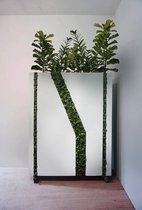 mos streep, 3D mos plantenbak - abstract - minimalistisch