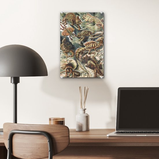 MuchoWow® Peinture sur verre 20x30 cm - Peinture acrylique sur verre - Vintage - Art - Ernst Haeckel - Salamandres - Animaux - Photo sur verre - Peintures