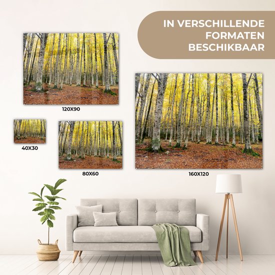Feuilles jaunes dans la forêt en automne Glas 90x60 cm - Tirage photo sur Glas (Décoration murale en plexiglas)